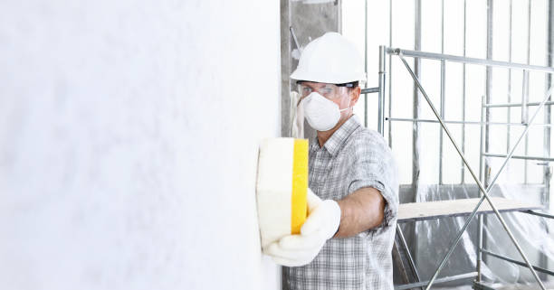 Why You Should Choose Our Mold Remediation Services in Acres Green, CO